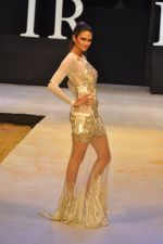 Model walk the ramp for Shane & Falguni Show at IRFW 2012 in Goa on 1st Dec 2012 (67).JPG